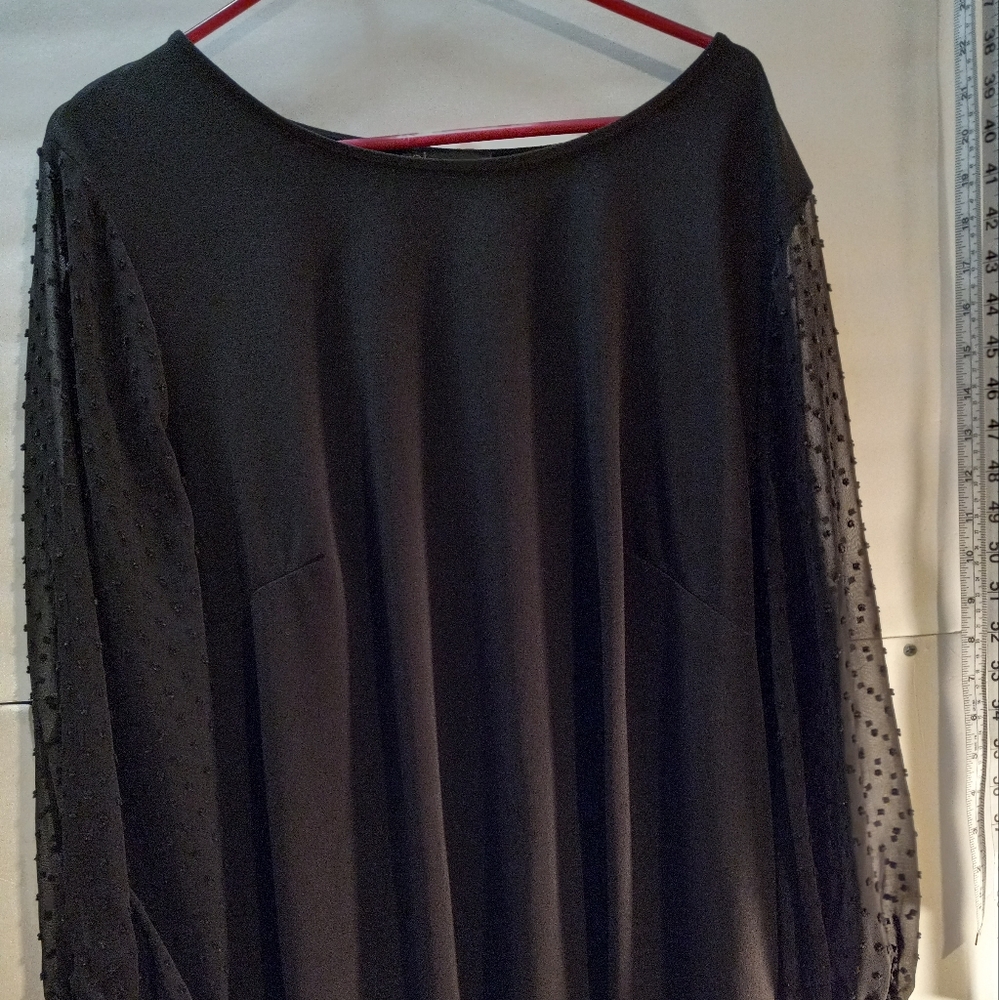 Adrianna Papell Sheer Business Casual Minimalist Blouse Feminine Professional 3X